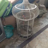 قفس  پرنده|لوازم جانبی حیوانات|تهران, جوادیه تهرانپارس|دیوار