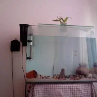 اکواریوم  شیشه خم قوی فوری