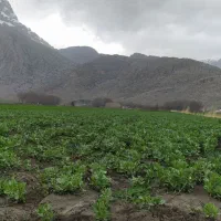 سرکارگر امور کشاورزی از صفر تا صد