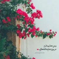 2ساعت آب بادرخت به فروش میرسد