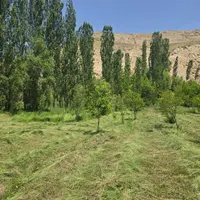 فروش زمین ۱۴۵۰ متری در فیروزکوه شهر ارجمند