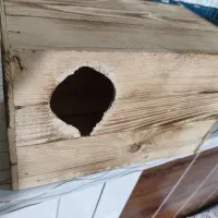 عروس هلندی|لوازم جانبی حیوانات|خورموج, |دیوار