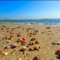 تور ریلی قشم دی ماه