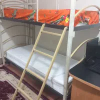 تخت خواب دوطبقه|تخت و سرویس خواب|گالیکش, |دیوار