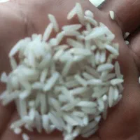 برنج درجه یک گیلانی|خوردنی و آشامیدنی|حویق, |دیوار