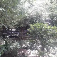 اجاره آپارتمان ۲۰۰ متر/واحد تمیز و نورگیر/خوش‌نقشه