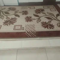 پادری وگلیم|پادری|نهاوند, |دیوار