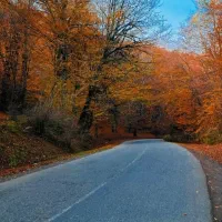 فروش زمین سوادکوه روستای زیبا کلاریجان موقعیت خوب|فروش زمین و ملک کلنگی|آلاشت, |دیوار