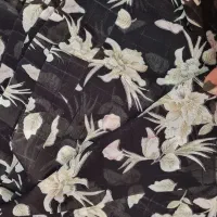 پارچه چادری|لباس|گرگان, |دیوار