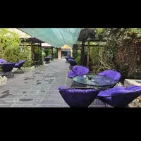 سالندار مهماندار ویزیتور همگی خانوم