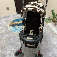 سرویس نوزاد همراه کریر مارک دلیجان