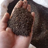 اسپند .دانه دارویی