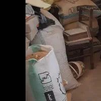 پوشال