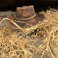 کلاه کابویی جنس نمد لوکس|لباس|تهران, فردوسی|دیوار