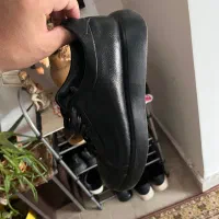 ونس چرم تبریز|کیف، کفش، کمربند|اردبیل, |دیوار