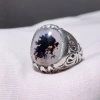 کلکسیون انگشتر های شجر قائنات ناب طبیعی مصور|جواهرات|تهران, استاد معین|دیوار