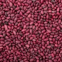 لوبیا‌ قرمز ایرانی