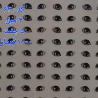 چشم های رزینی|صنایع دستی و سایر لوازم تزئینی|رشت, پل تالشان|دیوار