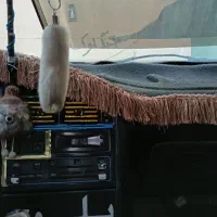 پژو اردی|خودرو سواری و وانت|لادیز, |دیوار