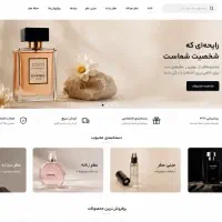 طراح سایت