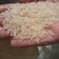 فروش برنج عمده گل زار مژده آواز پارس جذاب محرم|حراج|اندیمشک, |دیوار