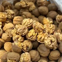 گردو درجه ۱ تویسرکان عمده و جزیی