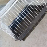 قفس خرگوش|لوازم جانبی حیوانات|ایلام, |دیوار