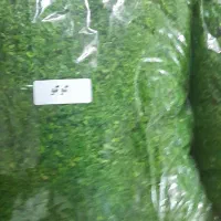 سبزی خورد شده|خوردنی و آشامیدنی|مشهد, رضاشهر|دیوار