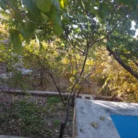 باغ ویلایی در سیرو