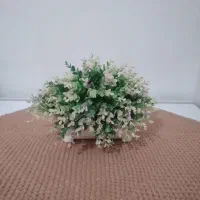 گلدون ورومیزی|حراج|شوشتر, |دیوار