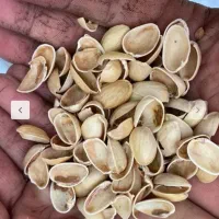 خریدار پوست پسته و ضایعات