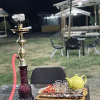 قلیان