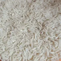 برنج هاشمی درجه یک 1تن نیم یکجا نقد فقط نقد