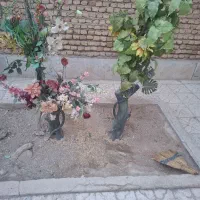 گل مصنوعی همراه با گلدان،|گل مصنوعی|شهرکرد, |دیوار