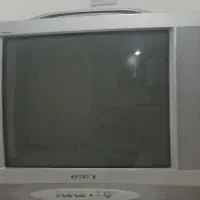 تلویزیون