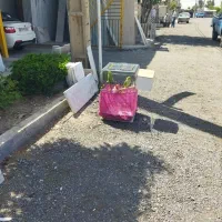 یک جفت طوطی ملنگو