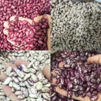 برنج و خشکبار زنگویی کارگر ۲۹ * ضمانت کیفیت قیمت *