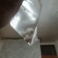 الماس اسیاب  اصلی|جواهرات|شیراز, زند|دیوار