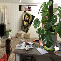 واحد ۵۰ متری چراغچی ۵|فروش آپارتمان|مشهد, بهمن|دیوار