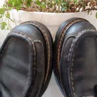 کاچیوی برای ماهی کفش