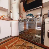 فرگاز پادیسان