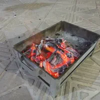 فروش زغال کبابی