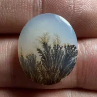 سنگ شجر منظره کلکسیونی