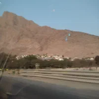 زمین باغ به متراژ هزار دویست متر سپاس از دیوار