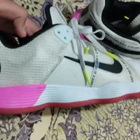 کفش والیبال