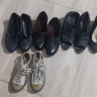 شماره ۳۸