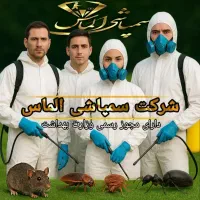 سمپاشی موریانه باتضمین کتبی سوسک ساس سم پاشی کک|خدمات نظافت|خمینی‌شهر, |دیوار