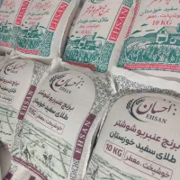 برنج عنبربو شوشتر