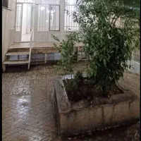 رهن و اجاره طبقه همکف + حیاط+ زیرزمین (تخلیه)