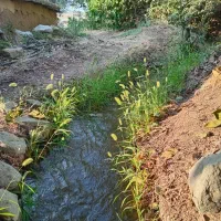 ۲۵۰مترزمین لوکیشن خوب